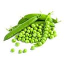 Green Peas